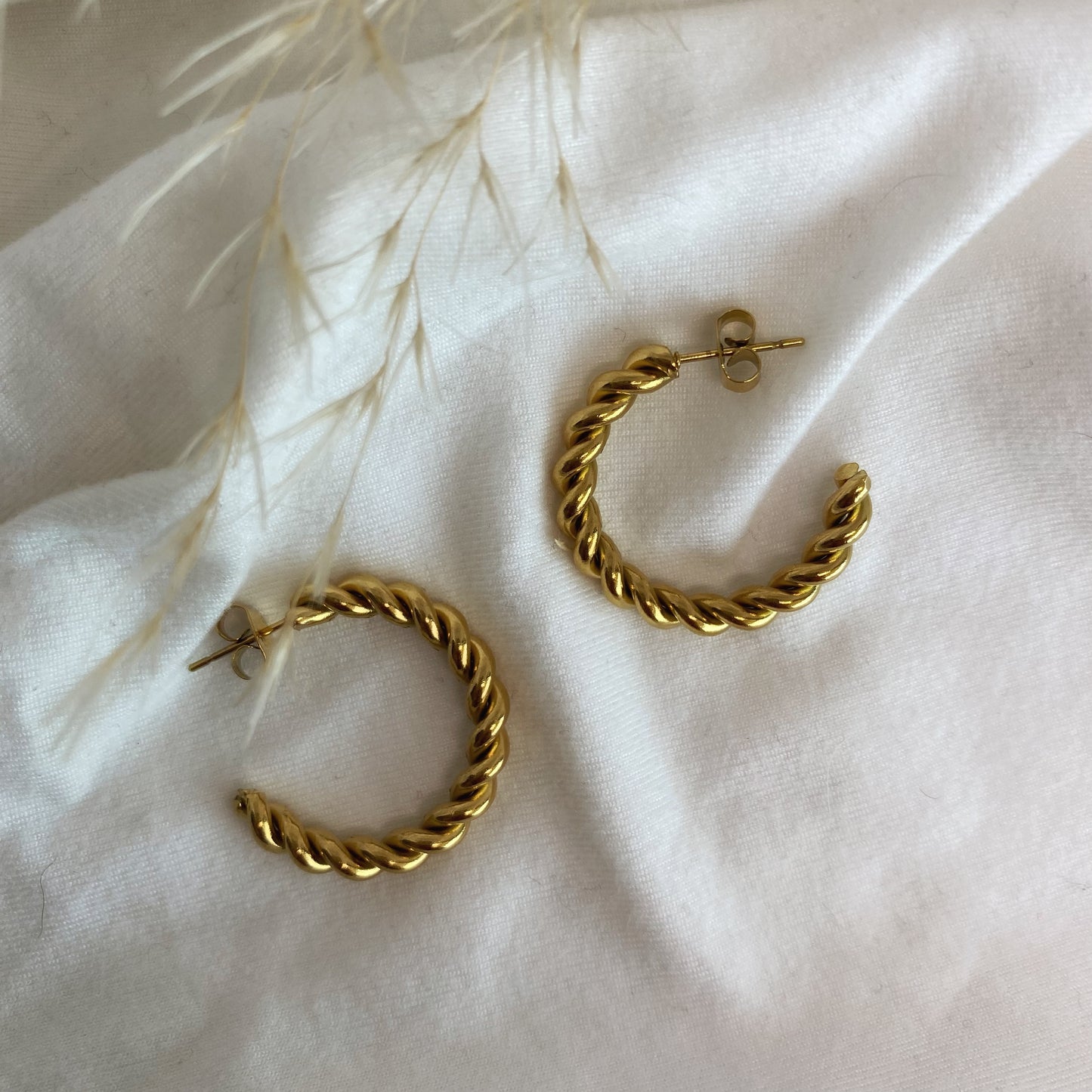 Argollas Emilia M